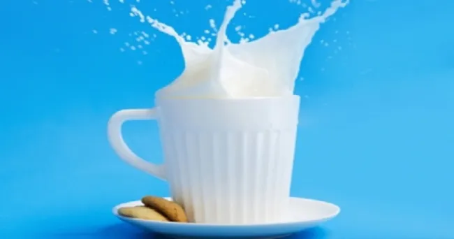 La leche de vaca, un producto esencial a cualquier edad