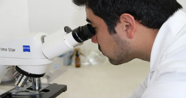 Invitación a someter trabajos en número especial de la revista científica Agronomy editado por investigadores de AGROSAVIA