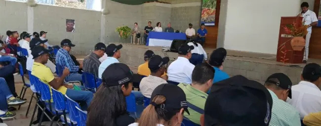 Una nueva variedad de frijol más nutritivo entra al mercado del Caribe colombiano