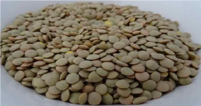 El superalimento que previene la anemia, da energía y es bueno para la diabetes