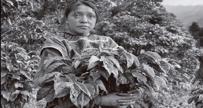 El IICA, con apoyo de Corteva Agriscience, lanza la segunda edición de “Luchadoras – Mujeres Rurales en el Mundo”