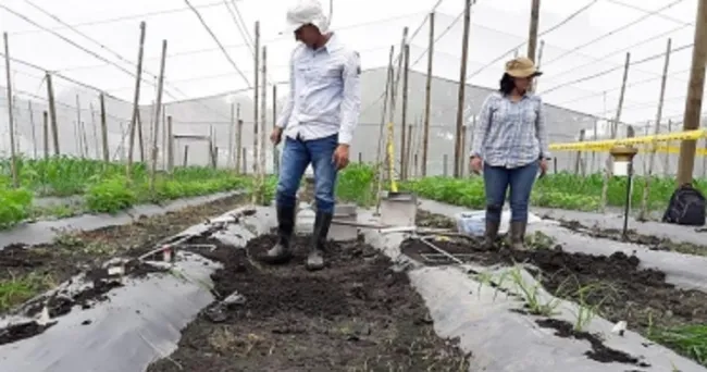 Cultivar más con menos agua, reto para los agricultores