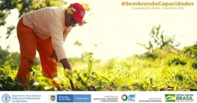 Cartilla reúne cinco experiencias en Sistemas Territoriales de Innovación (STI) Agropecuaria en Colombia