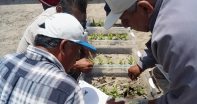 Sembrando Capacidades promueve taller virtual para intercambio de experiencias en extensión agropecuaria