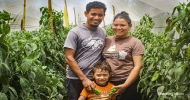 FAO lanza un nuevo espacio digital para promover la innovación global en la agricultura familiar
