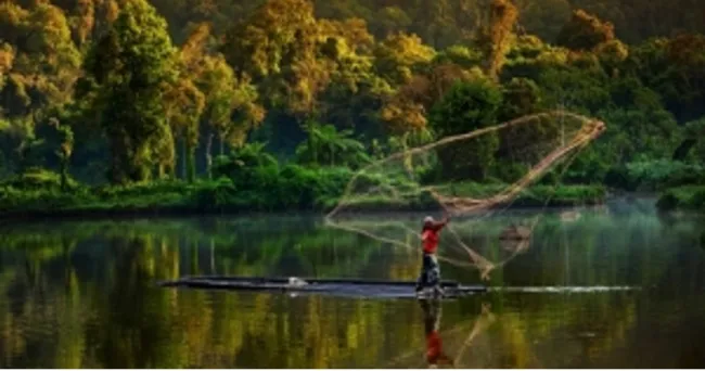 Se necesitan medidas urgentes para salvaguardar la biodiversidad de los bosques de América Latina y el Caribe