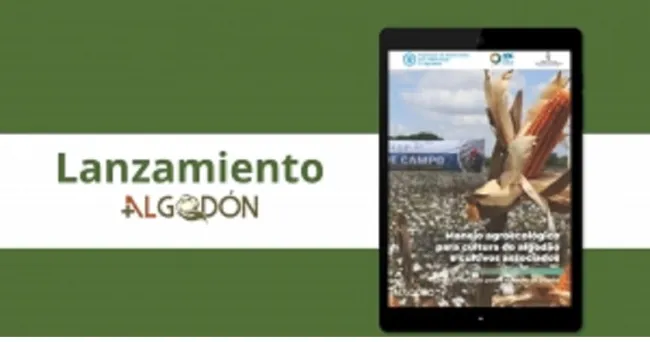 Lanzada cartilla con recetas prácticas para combatir insectos en sistemas consorciados algodón- alimentos de la agricultura familiar