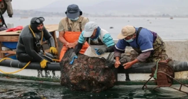 FAO lanza el año Internacional de la Pesca y la Acuicultura Artesanales 2022 en América Latina y el Caribe