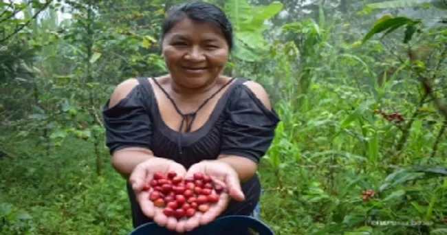 FAO ofrece un nuevo curso gratuito sobre agroecología