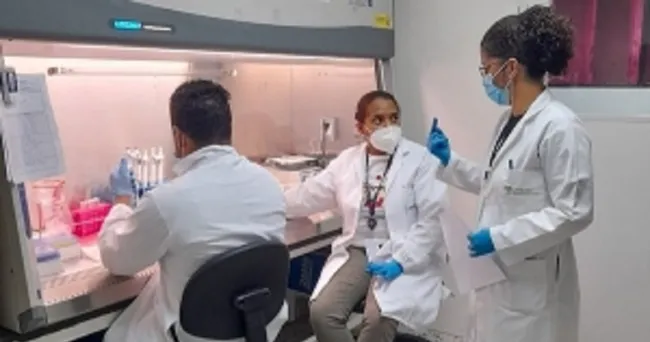 FAO lanza nuevo curso gratuito de Peste Porcina Africana para especialistas en cuatro idiomas para América Latina y el Caribe