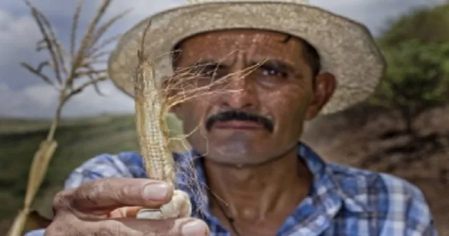 Países de América Latina y el Caribe impulsan acciones climáticas con apoyo de la FAO