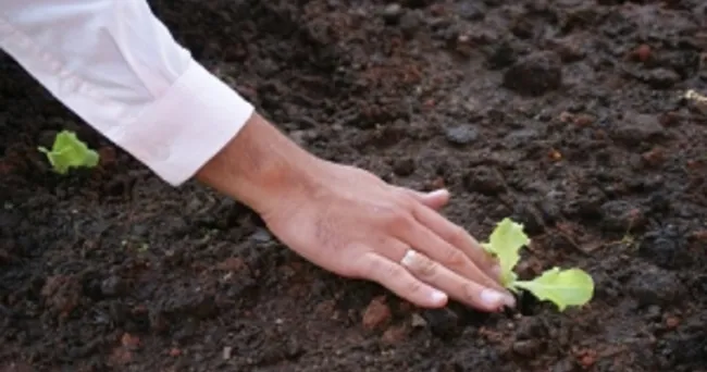 Expertos de Brasil y Colombia intercambian conocimientos sobre Agroecología bajo la mirada de la investigación y la academia