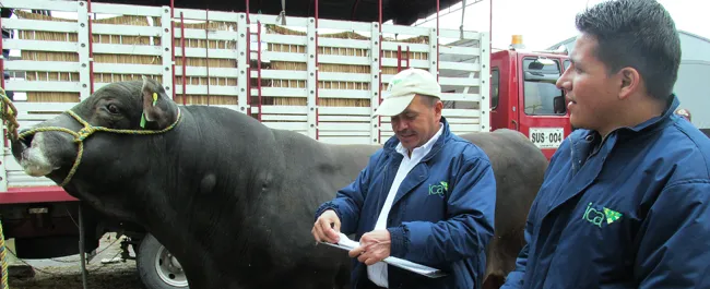 MinAgricultura e ICA simplifican trámites para la expedición de guías de movilización de animales - 04 de Febrero de 2016