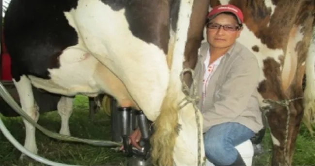 Alianza entre Gobierno y Fedegán beneficiará a 190 000 mujeres ganaderas