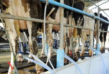 Nueva Zelanda: aliado estratégico para el agro de Colombia