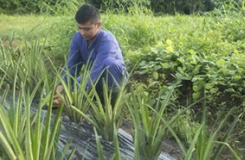 Control natural de plagas, una propuesta de estudiantes lasallistas