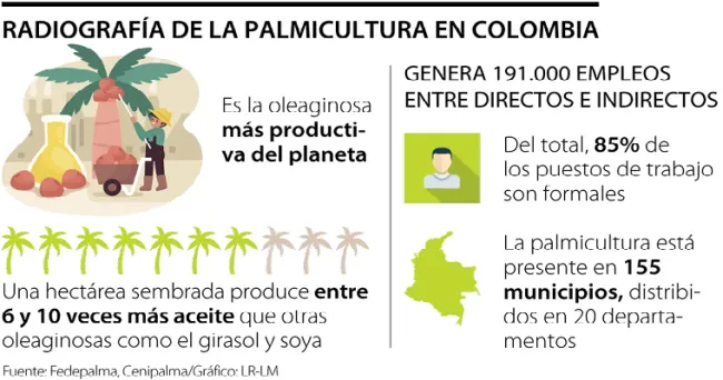 La palma de aceite, un sector agroindustrial que aporta 17% al PIB agrícola nacional