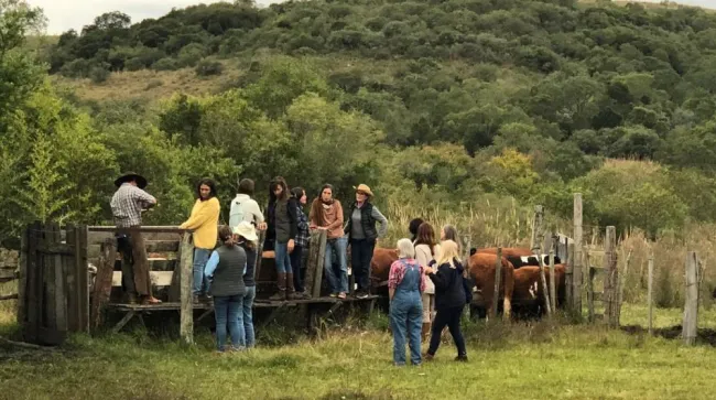 Los suelos erosionados pueden regenerarse y convertirse en tierras fértiles para la agricultura, afirman las integrantes de pampeanas regenerativas orientales, en un nuevo episodio del podcast IICA en acción
