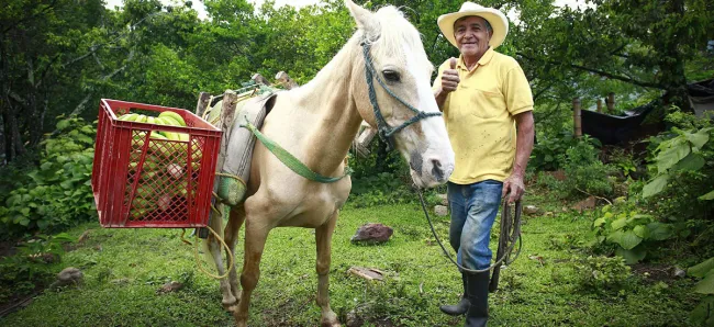 Pequeños productores tendrán voz y voto en junta directiva del Fonsa - 22 de agosto de 2016