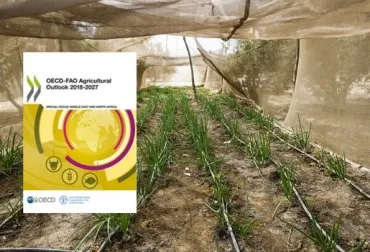 La seguridad alimentaria requiere condiciones predecibles del comercio agrícola