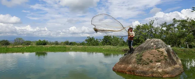 En riesgo 19 mil toneladas de peces por cierre de El Quimbo - 28 de Diciembre de 2015