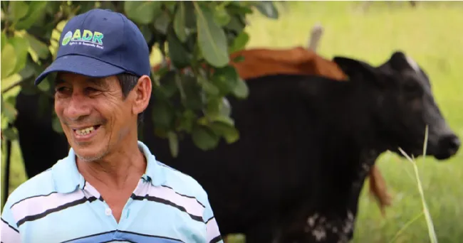 De los píxeles a los pastos: cómo la IA puede ayudar a los agricultores a predecir sus pastos