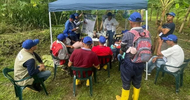 Dia de campo “Manejo agronómico del cultivo de plátano” en Tame, Arauca