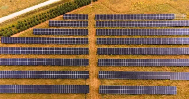 Energía verde para un futuro mejor