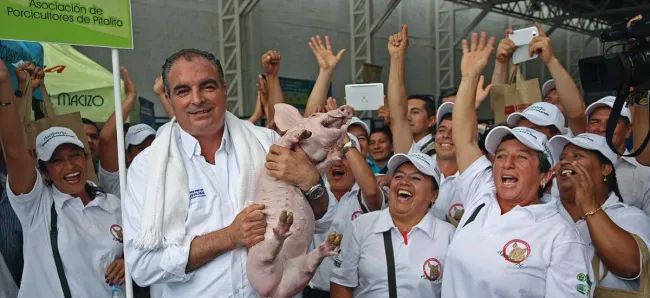La OIE entregó a Colombia el certificado de la principal zona productora de cerdos como libre de PPC - 26 de mayo de 2017