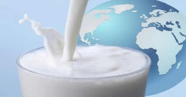 El 25 % de la producción mundial de leche es procesada por 20 empresas
