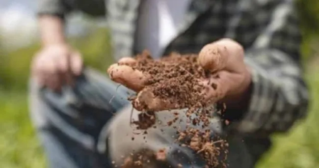 Realice un test casero para conocer el pH del suelo en su predio