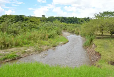 Quindío contará con sistema de monitoreo ambiental