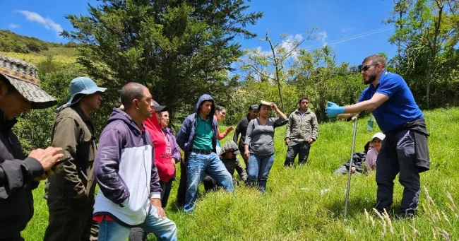 Desde el suelo hacia una mejor producción