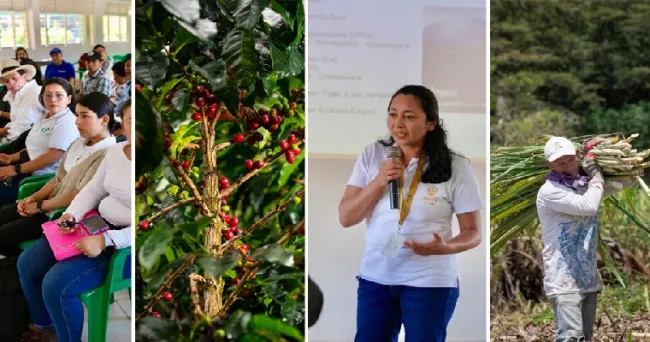 Togüí, un Paraíso Escondido para la producción agropecuaria