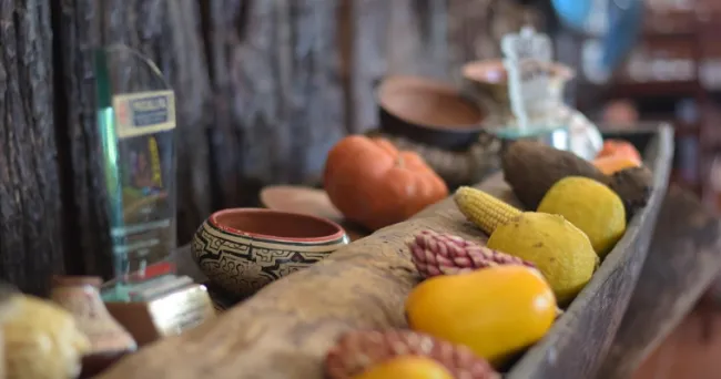 Entre saberes y sabores: el camino hacia la agroecología