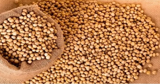 En medio de la pandemia, el sector agrícola se alista para la segunda temporada de siembras