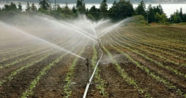 Los sistemas de producción agrícola requieren pronta transformación