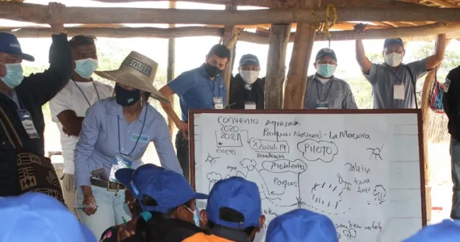 Con el apoyo de AGROSAVIA, los Wayuu comienza a proyectar arreglos silvopastoriles para disminuir las afectaciones por el pastoreo extensivo