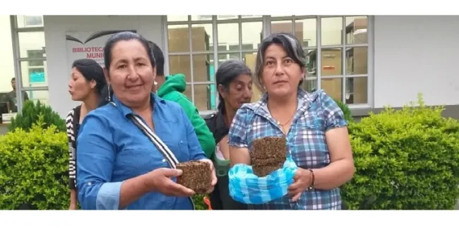 AGROSAVIA realiza taller de Suplementación estratégica para bovinos y cuyes con subproductos de caña