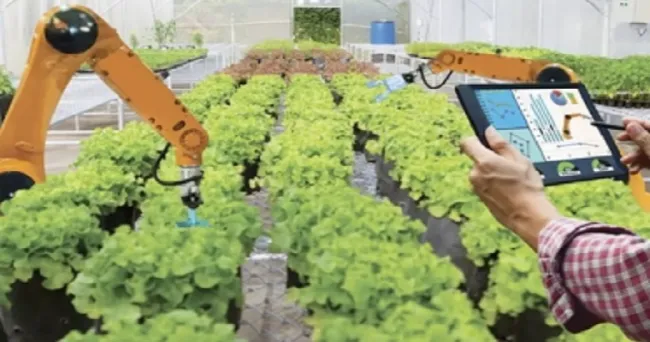 ¿Cuáles son las tendencias para la agricultura en el 2023?