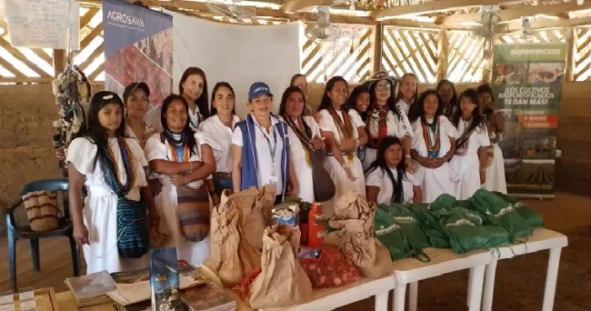 AGROSAVIA apoya a las sabedoras tradicionales y técnicas arhuacas de los cultivos biofortificados en la Sierra Nevada de Santa Marta