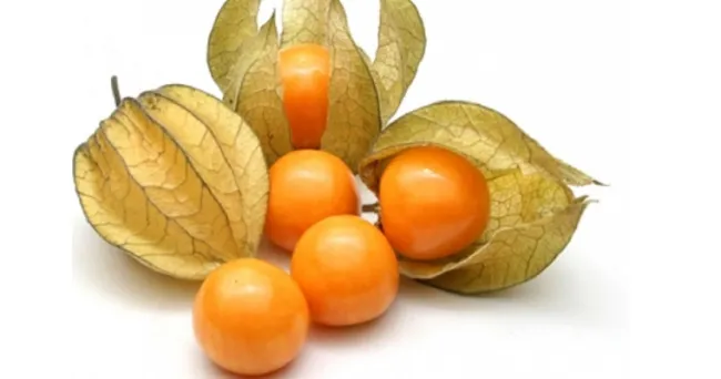 Frutas y hortalizas de Norte de Santander apuntan a Europa