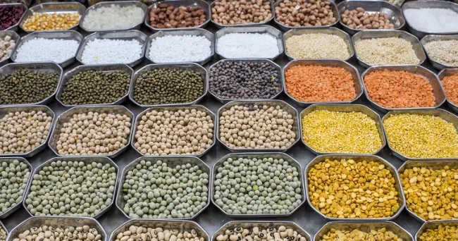 Día Mundial de las Legumbres de 2024: destacar el papel vital de las legumbres en la promoción de la salud del suelo y la nutrición de las personas