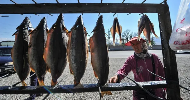 Nuevo récord acuícola ofrece una forma de acabar con el hambre sin dañar el medio marino