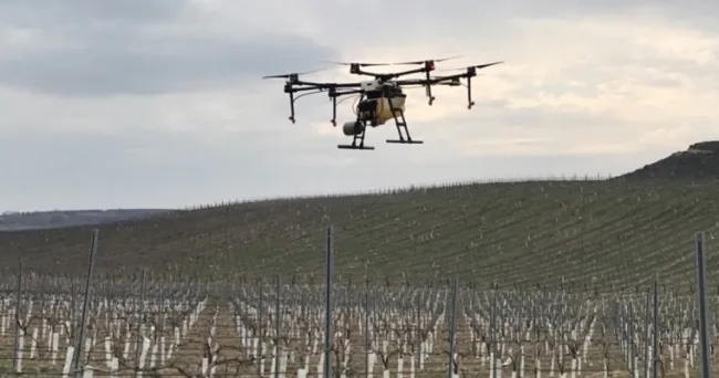 Drones para aplicar productos fitosanitarios de forma eficiente y minimizar su impacto ambiental