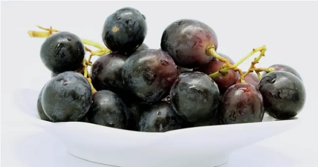 El superalimento típicamente andaluz que da energía y regula el colesterol
