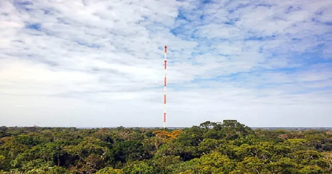 ATTO, la torre para el monitoreo científico del clima en la Amazonia
