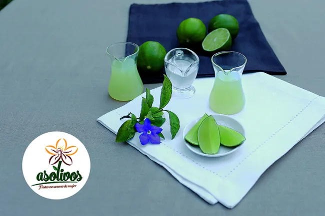 ZUMO Y NÉCTAR DE LIMÓN