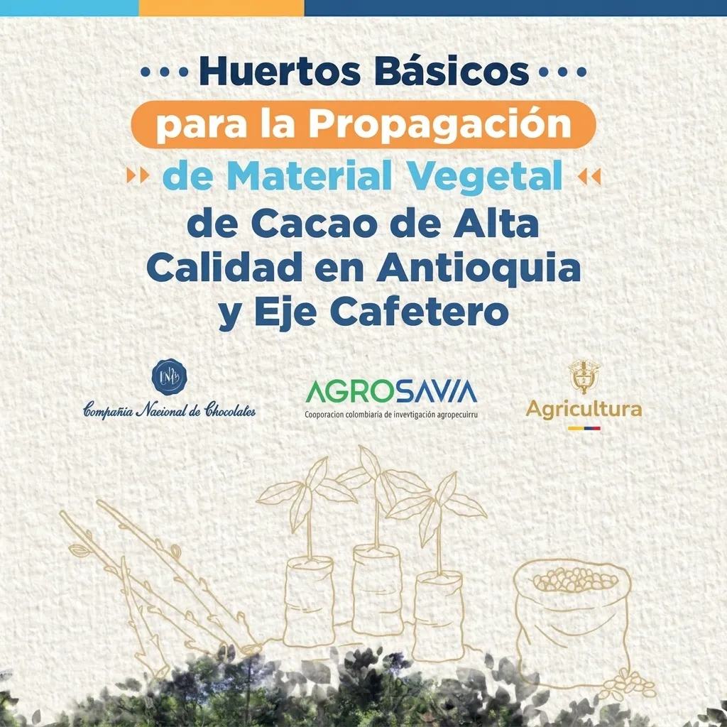 Huertos básicos para la propagación de material vegetal de cacao de alta calidad en Antioquia y Eje Cafetero